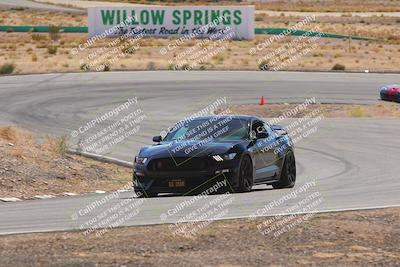 media/Oct-25-2025-West Coast Racing (Sat) [[9fdcbcd09c]]/Green group/Turn 3/